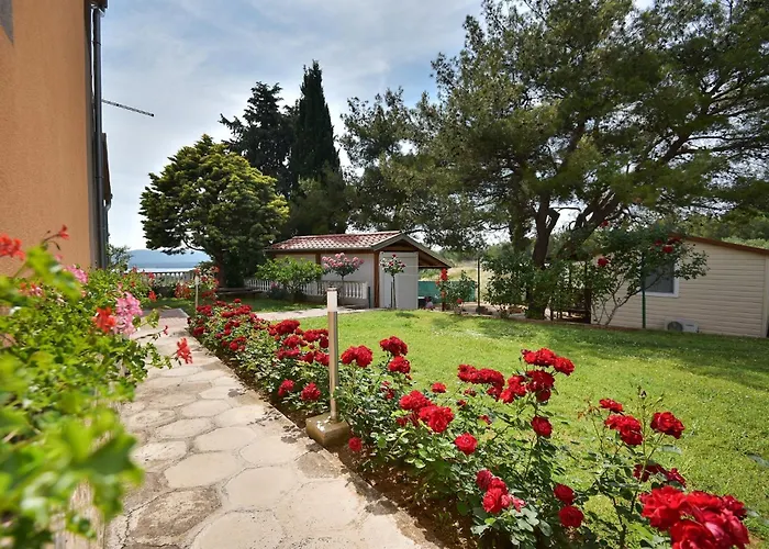 Family-friendly With Swimming Pool Sveti Filip I Jakov, Biograd - 17192 * Sveti Filip i Jakov