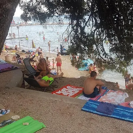 Lejlighed Family-friendly With Swimming Pool Sveti Filip I Jakov, Biograd - 17192