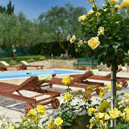 Lejlighed Family-friendly With Swimming Pool Sveti Filip I Jakov, Biograd - 17192 Sveti Filip i Jakov