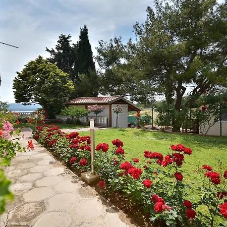 Family-friendly With Swimming Pool Sveti Filip I Jakov, Biograd - 17192 * Sveti Filip i Jakov