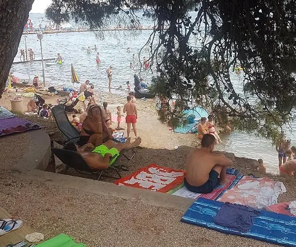 Апартаменты Family-friendly With Swimming Pool Sveti Filip I Jakov, Biograd - 17192